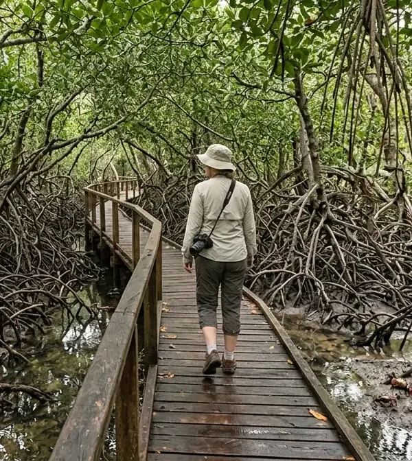 Jozani Forest Mangrove Image