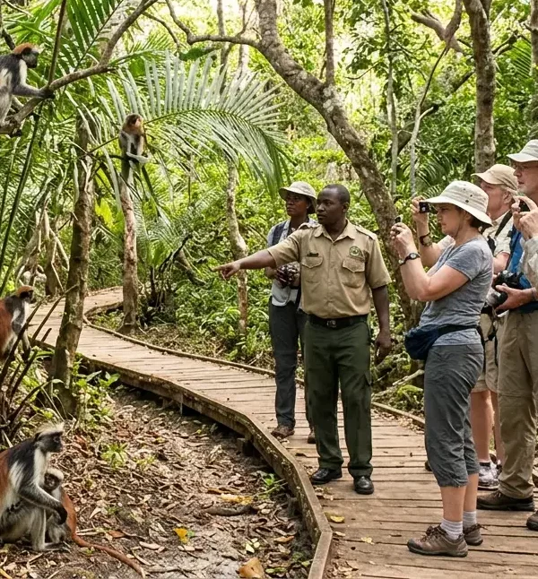 Jozani Forest Tour Image