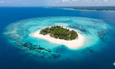 Zanzibar Mnemba Island Image.