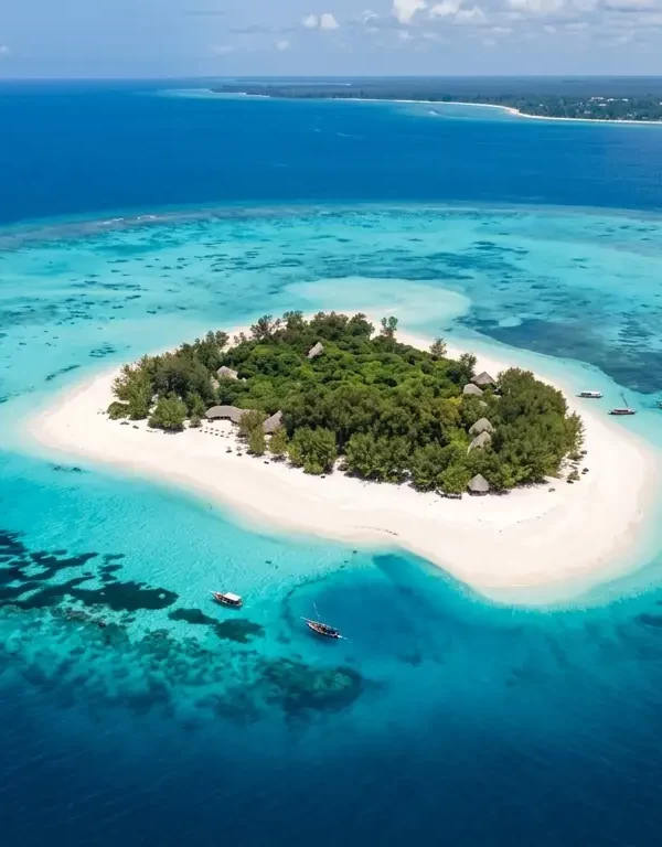 Zanzibar Mnemba Island Image.