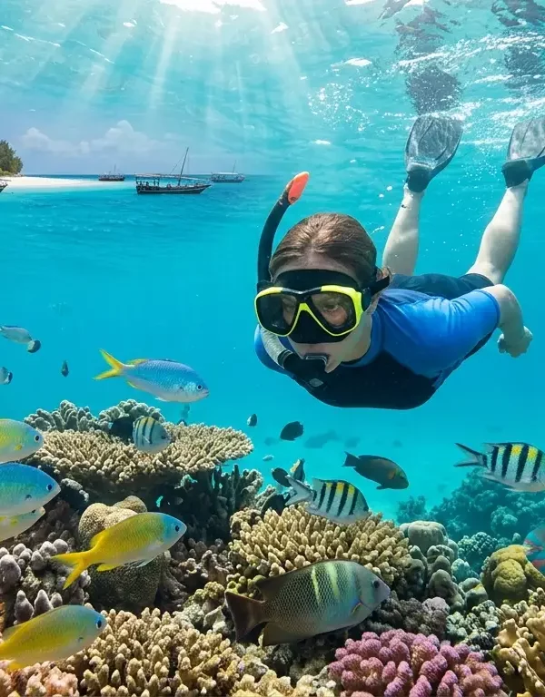 Zanzibar Mnemba Island Snorkeling Image