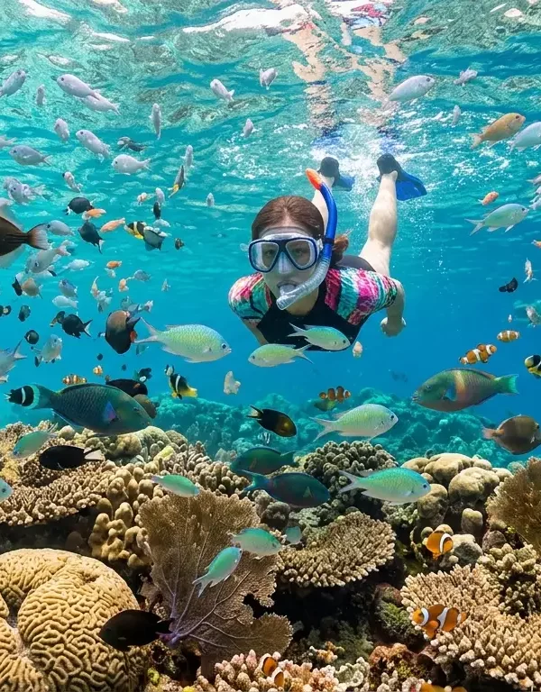 Zanzibar Safari Blue Snorkeling Image.