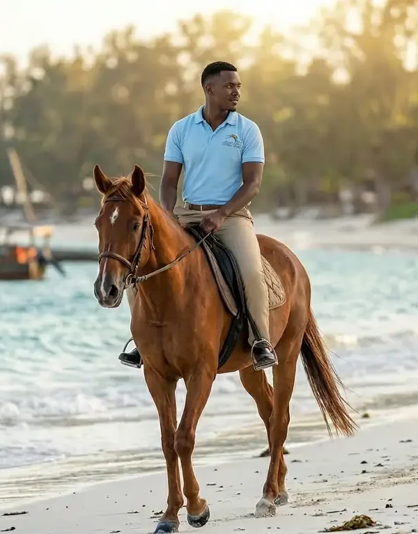 Zanzibar Horse Riding Experience Image