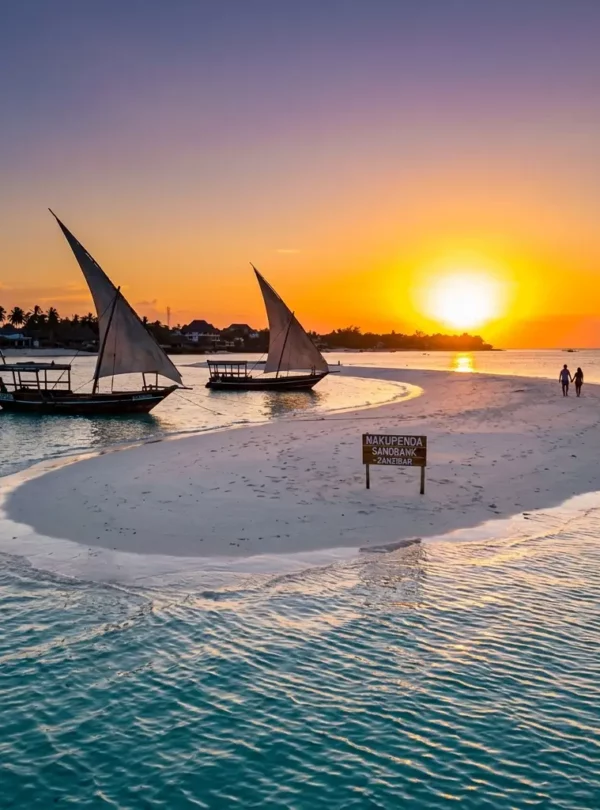 Zanzibar nakuapenda sandbank tour image