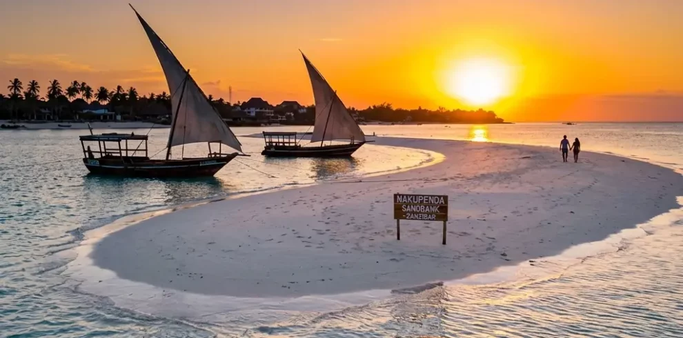 Zanzibar nakuapenda sandbank tour image