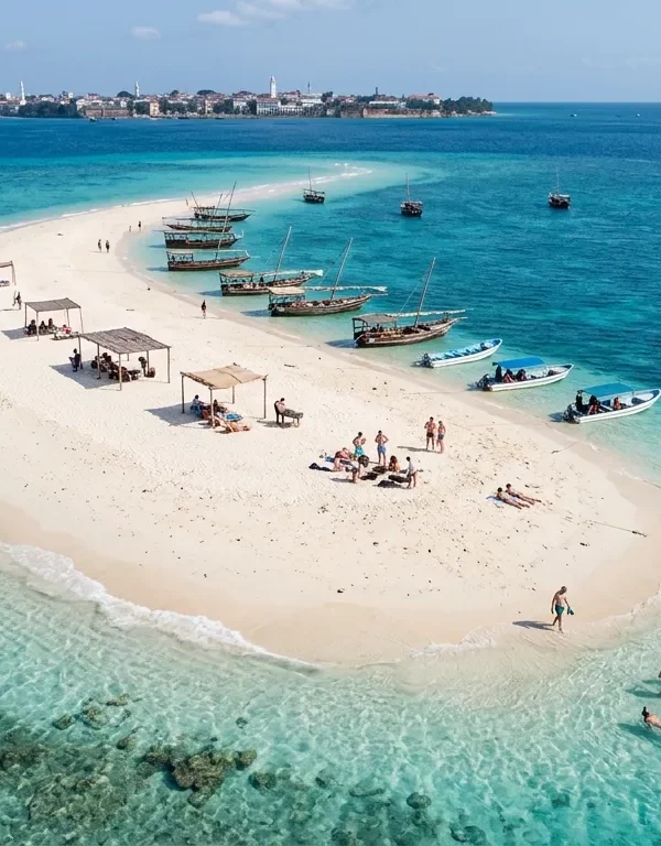 Zanzibar nakuapenda sandbank tour image